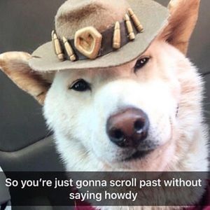 Meet your Posher, David